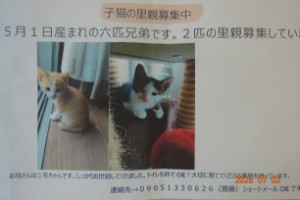 別所動物病院