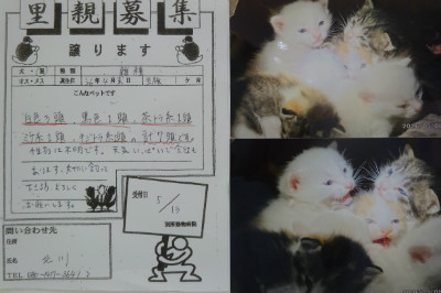 別所動物病院