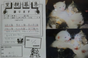 別所動物病院