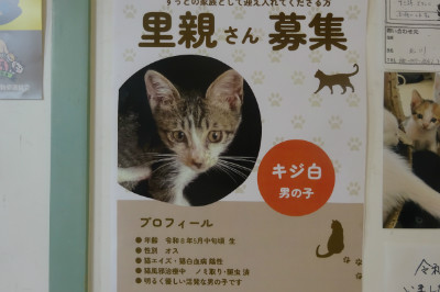 別所動物病院
