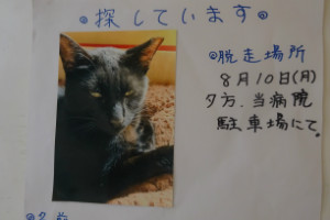 別所動物病院