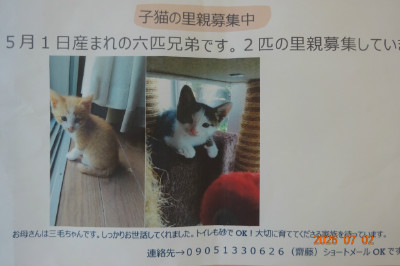 別所動物病院