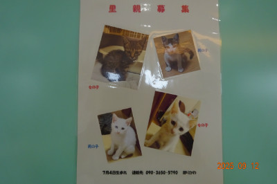別所動物病院