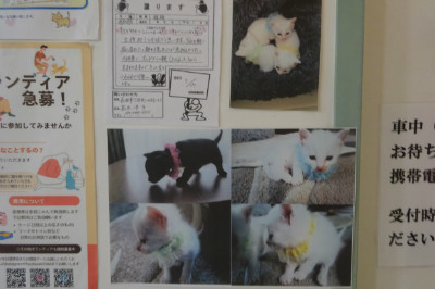 別所動物病院
