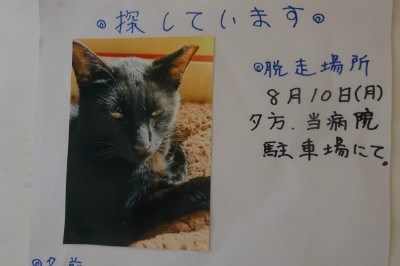 別所動物病院